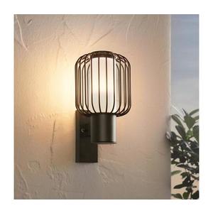 Eglo 98721 - Vonkajšie nástenné svietidlo RAVELLO 1xE27/28W/230V IP44 98721 vyobraziť