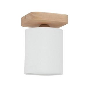 8512174 - Stropné svietidlo JENTA 1xE27/25W/230V 8512174 vyobraziť