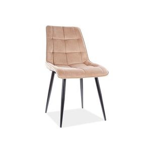 Čalouněná jídelní židle Chic Velvet - výber z 10 prevedení vyobraziť