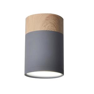 Stropné svietidlo TUBA GU10/15W/230V 2284262 vyobraziť