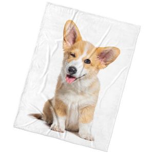 BedTex Deka mikroplyš Psie Veličenstvo, 150 x 200 cm vyobraziť