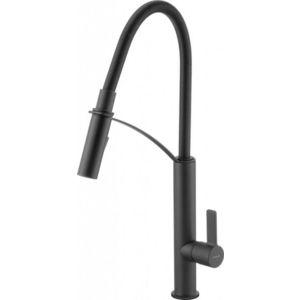 DEANTE DEANTE - Gerbera čierna - Drezová batéria, výsuvná BGB_N72M vyobraziť