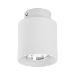 Bodové svietidlo VICO WHITE 1xGU10/10W/230V 3406 vyobraziť