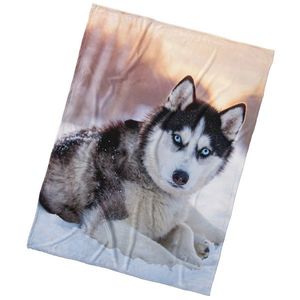 BedTex Deka mikroplyš Pes Sibírsky Husky, 150 x 200 cm vyobraziť