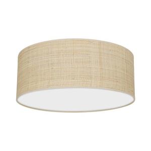 Stropné svietidlo MARSHALL 2xE27/60W/230V MLP7487 vyobraziť