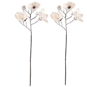 Set kvetov Magnólia, 2 ks, biela so zasnežením vyobraziť