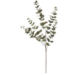 Eukalyptus - umelá vetva, veľké listy, 100 cm, zelená vyobraziť