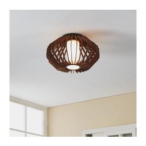 Eglo 900385 - Stropné svietidlo RUSTICARIA 1xE27/40W/230V 900385 vyobraziť