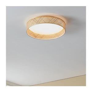 Eglo 900464 - LED Stropné svietidlo LUPPINERIA LED/24W/230V 900464 vyobraziť