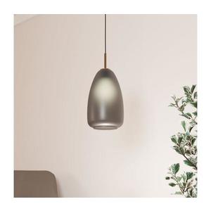 Eglo 900506 - Luster na lanku ALOBRASE 1xE27/40W/230V 900506 vyobraziť