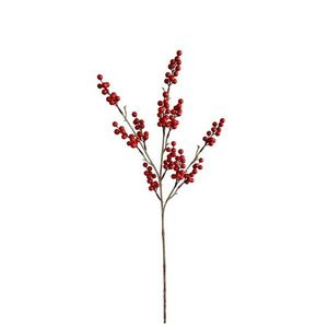 Vetvička s červenými bobuľami vyobraziť