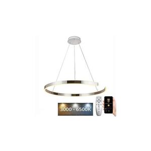 LED Stmievateľný luster na lanku LED/100W/230V 3000-6500K + diaľkové ovládanie J4327/CH vyobraziť