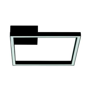 Zam 2029 - LED Stmievateľný prisadený luster LED/12W/230V čierna 2029 vyobraziť