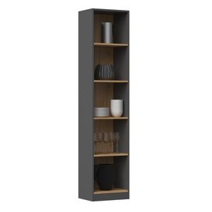 Knižnica R40 antracit/dub artisan vyobraziť