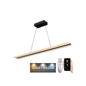 LED Stmievateľný luster na lanku LED/40W/230V 3000-6500K čierna + diaľkové ovládanie J4304/B vyobraziť