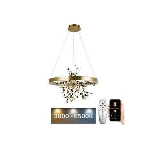LED Stmievateľný luster na lanku LED/40W/230V 3000-6500K zlatá + diaľkové ovládanie J5307/C vyobraziť