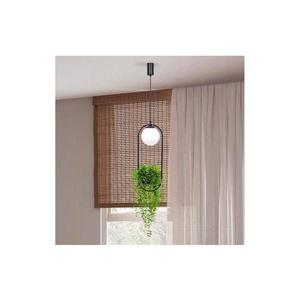 Zuma Line 5003 - Luster na lanku PLANT 1xE14/40W/230V čierna 5003 vyobraziť