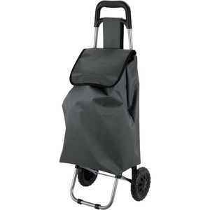 Nákupná taška na kolieskach 33 l, 53 x 31 x 18 cm, sivá vyobraziť