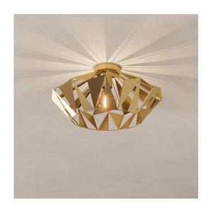 Eglo 43908 - Stropné svietidlo CARLTON 1xE27/60W/230V 43908 vyobraziť