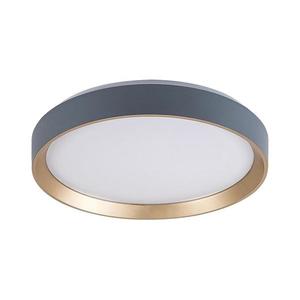 Rabalux 71185 - LED Stropné svietidlo LIATRIS LED/25W/230V 3000K pr. 38 cm 71185 vyobraziť