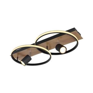 Globo 67309-36 - LED Stropné svietidlo DANNY 2xLED/18W/230V + 2xGU10/35W/230V 67309-36 vyobraziť