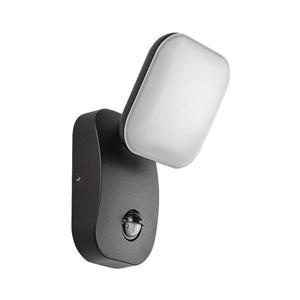 Rabalux 77058-LED Vonkajšie nástenné svietidlo so senzorom ODIEL LED/12W/230V IP44 77058 vyobraziť