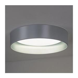 - LED Stropné svietidlo ROLLER LED/24W/230V pr. 45 cm strieborná 605359 vyobraziť