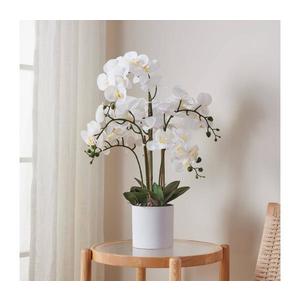 Eglo 428024 - Umelá rastlina v kvetináči HYUGA 65x50 cm orchidea 428024 vyobraziť