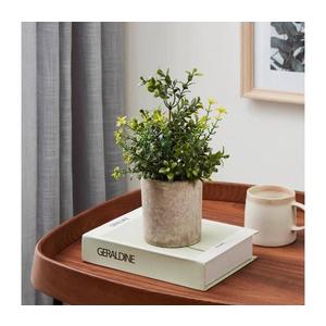 Eglo 428025 - Umelá rastlina v kvetináči CHITOSE 25x15 cm 428025 vyobraziť