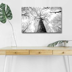 Maľba s LED osvetlením TREE ROOT 68 45 x 70 cm vyobraziť