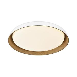 Top Light-LED Stm. stropné svietidlo SATELLITE LED/48W/230V 3000-6500K biela + DO Satellite 50B RC vyobraziť