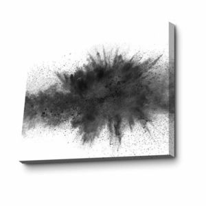 Obraz JULIET 70x100 cm biely/čierny vyobraziť