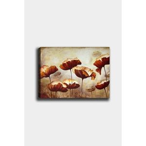 Obraz LEOPOLD 50x70 cm hnedý vyobraziť