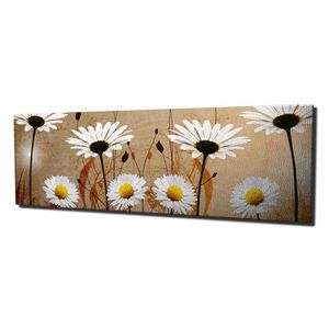 Obraz na plátne Daisies safari PC042 30x80 cm vyobraziť