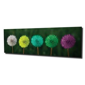 Obraz na plátne Dandelions PC93 30x80 cm vyobraziť