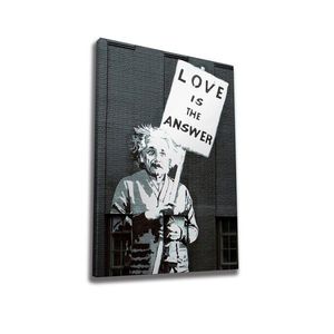 Obraz na plátne Einstein WY32 50x70 cm vyobraziť