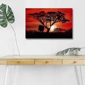 Obraz s LED osvětlením AFRICKÁ KRÁSA 53 45 x 70 cm vyobraziť