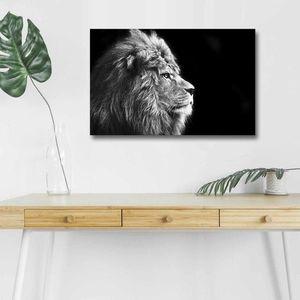 Obraz s LED osvetlením ČIERNOBIELY LEV 58 45 x 70 cm vyobraziť