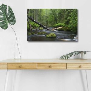 Obraz s LED osvětlením POTOK V LESE 03 45 x 70 cm vyobraziť