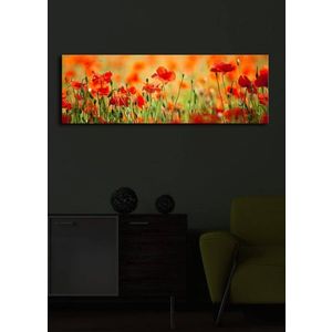Obraz s led osvetlením Sean 90x30 cm vyobraziť