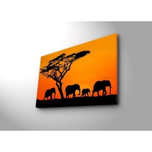 Obraz s LED osvetlením SLONÍ PUTOVANIE 53 45 x 70 cm vyobraziť