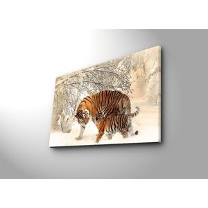 Obraz s LED osvetlením TIGRI V SNEHU 81 45 x 70 cm vyobraziť