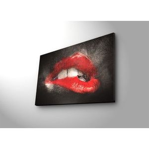 Obraz s LED osvetlením ZMYSELNÉ PERY 64 45 x 70 cm vyobraziť