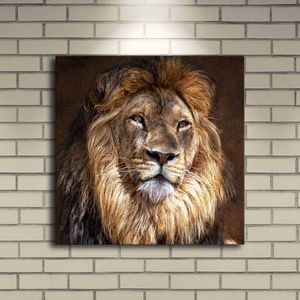 Obraz s LED svetlom KRÁĽ ZVIERAT 20 40 x 40 cm vyobraziť