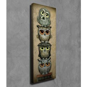 Obraz Sovy 30x80 cm vyobraziť