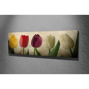 Obraz Tulipány 80x30 cm vyobraziť