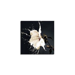 Obrázok LUCCILLA 45x45 cm čierna/biela vyobraziť