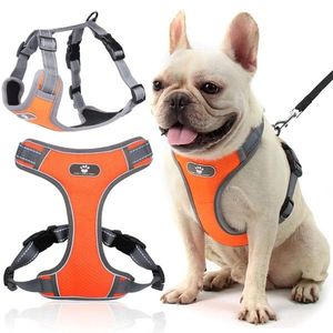 Postroj pro psy Astro M oranžový vyobraziť