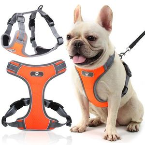 Postroj pro psy ASTRO S oranžový vyobraziť