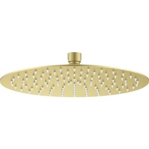DEANTE - Cascada kartáčované zlato Sprchová hlavica, okrúhla NAC_R10K vyobraziť